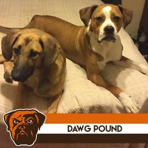 Meet your Posher, Debra